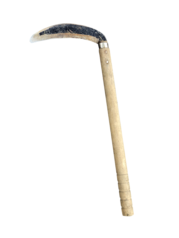 Nas - Korean Sickle